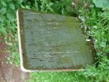 image of grave number 321824